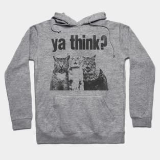 Ya Think? Funny horrified Cats Meme Hoodie